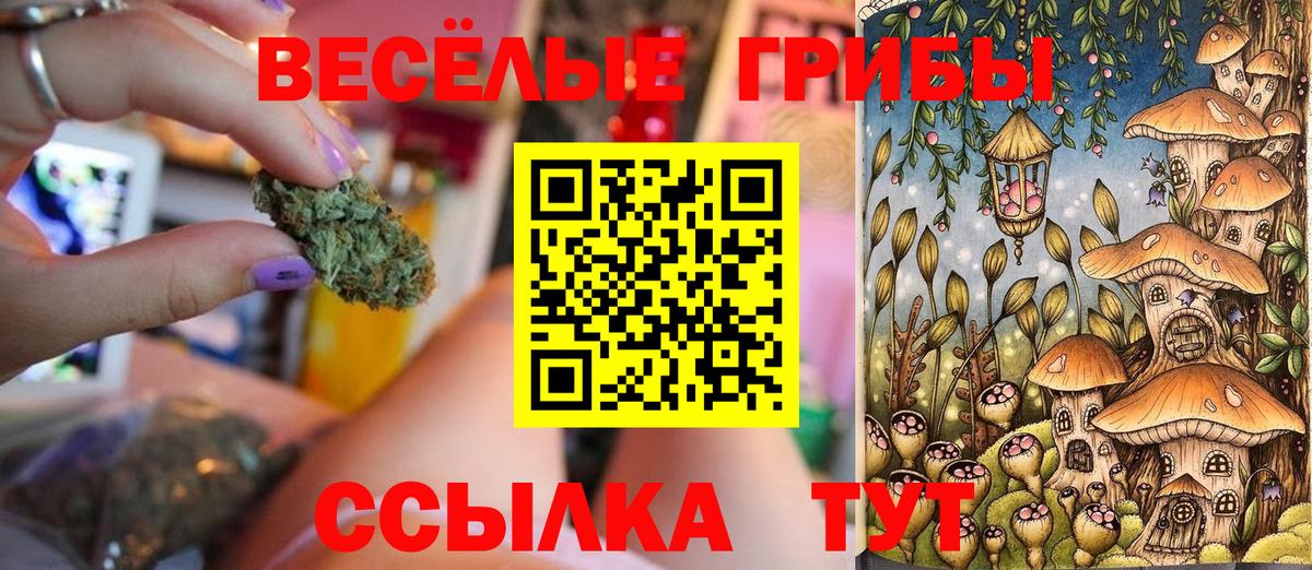 Галлюциногенные грибы MAGIC MUSHROOMS Магнитогорск